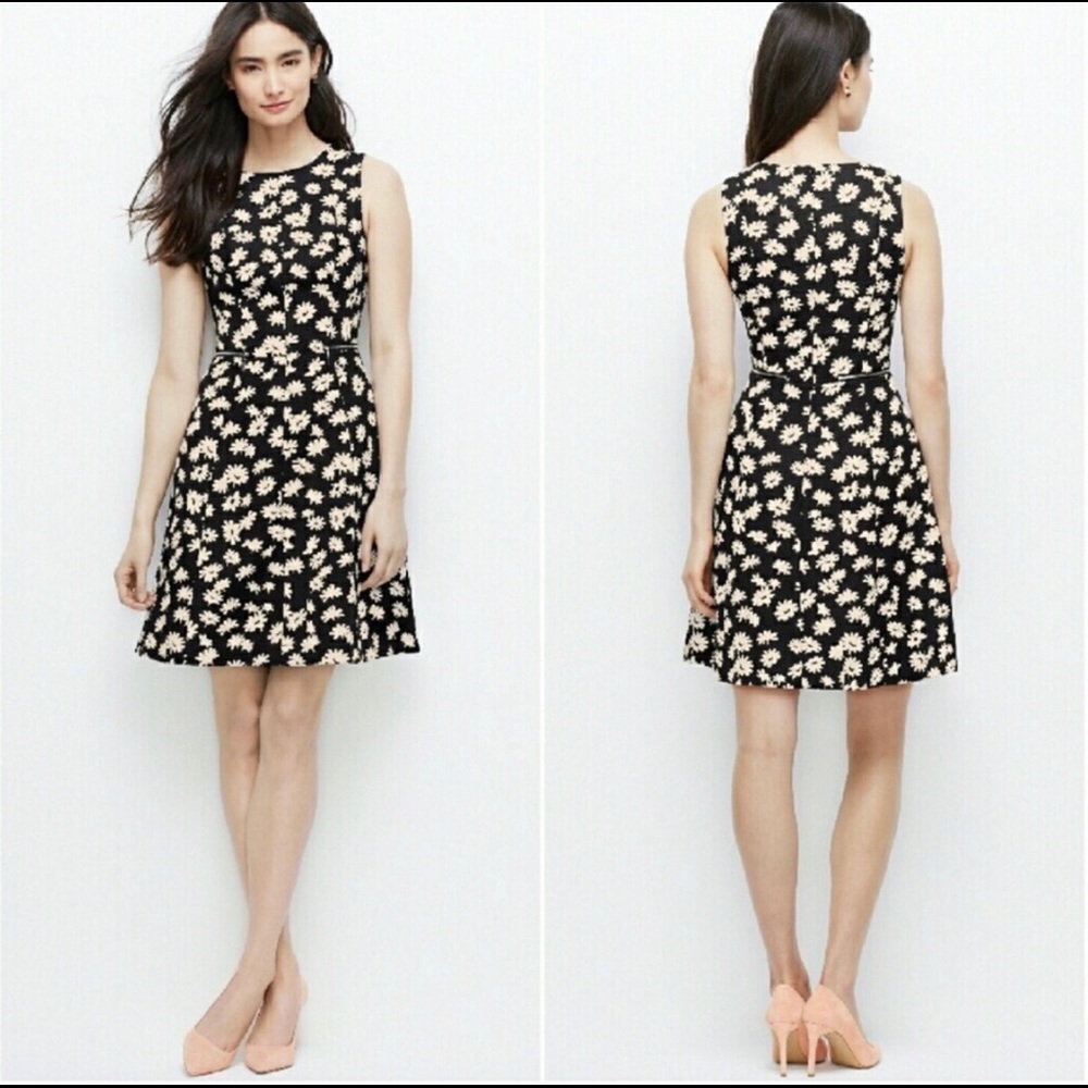 Dress fit and flare style